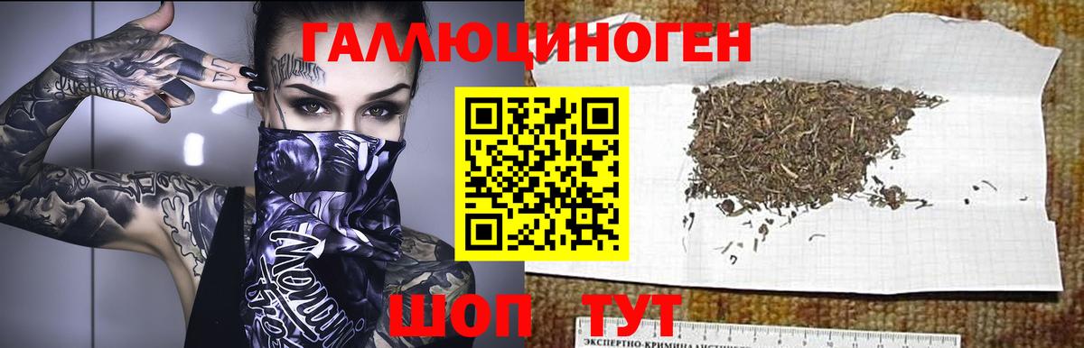 цена наркотик  Вход с VPN  Электросталь  Псилоцибиновые грибы Psilocybe 